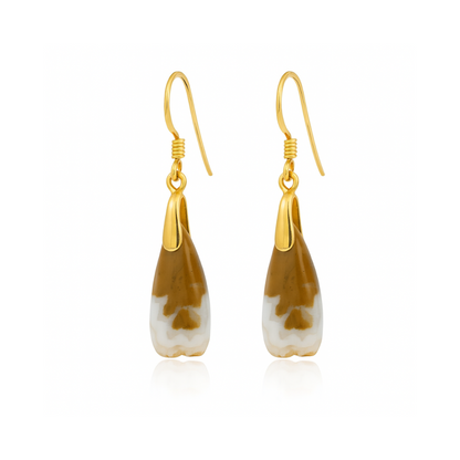 Natural Banded Agate Drop Earrings - 18K Gold Vermeil